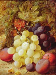 Grapes and Plums